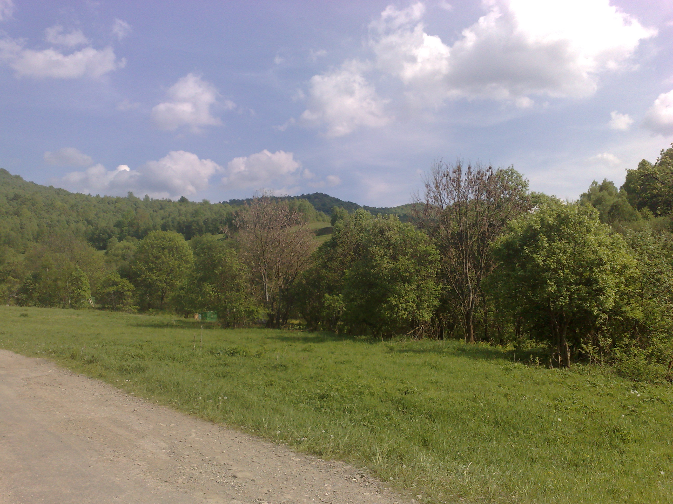 10052009468.jpg