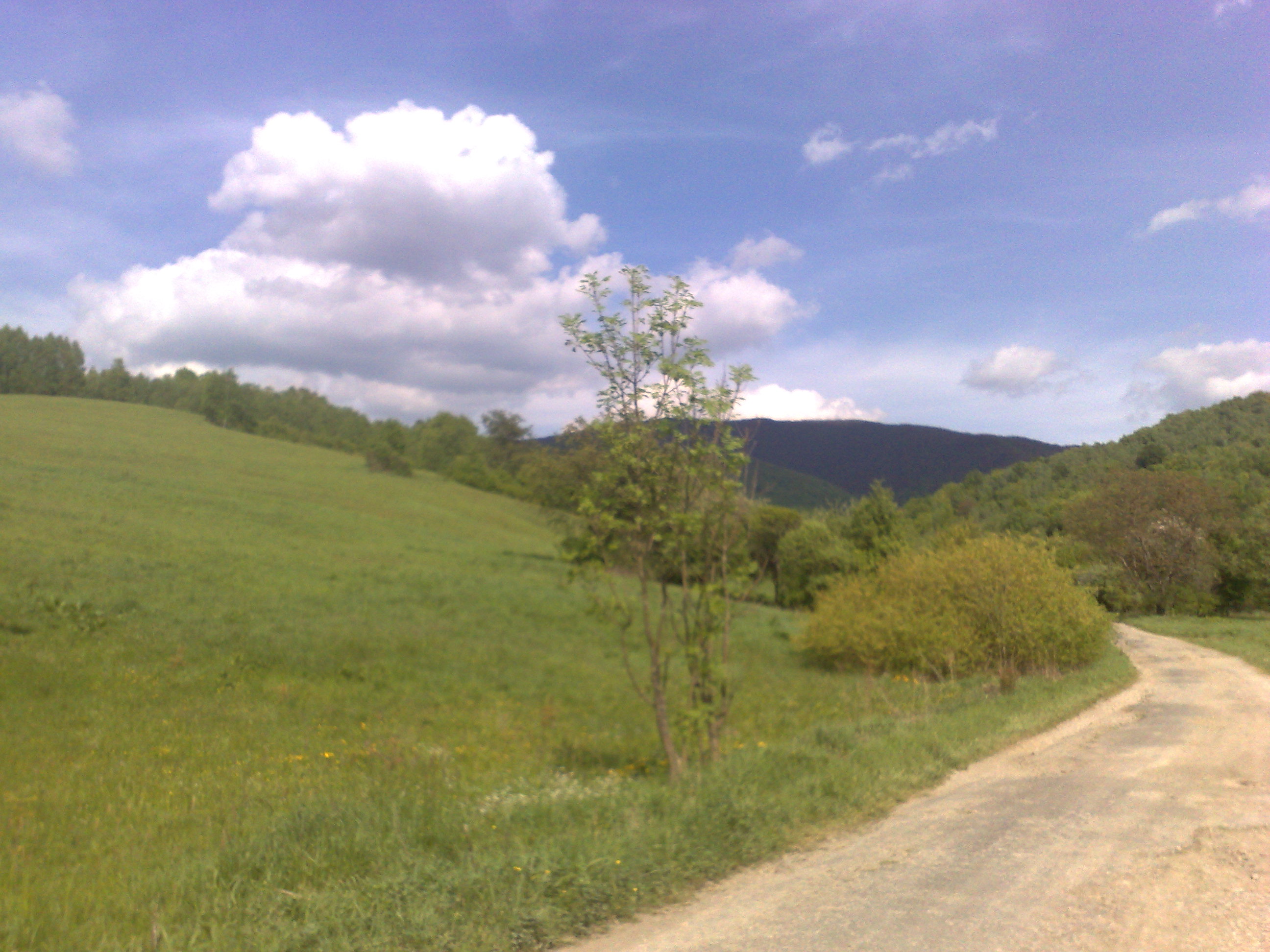 10052009469.jpg